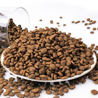 Er betra fyrir gæludýrafóður að hafa meira próteininnihald?